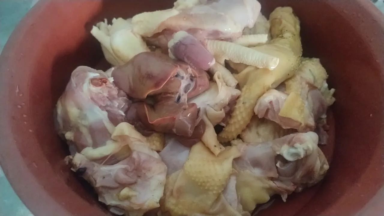 GALINHA E GALO CAIPIRA  - Foto 4
