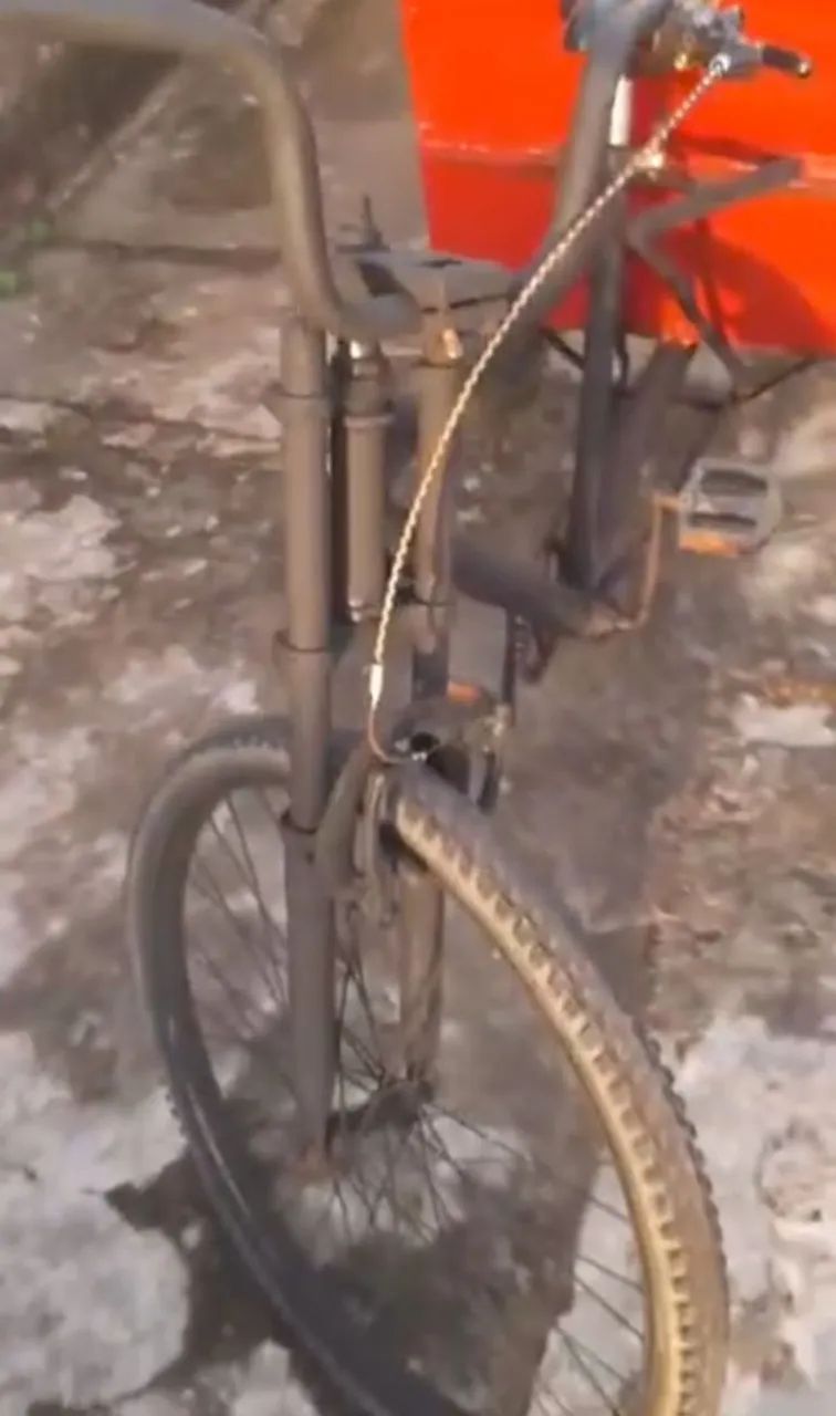 Triciclo de carga  - Foto 2