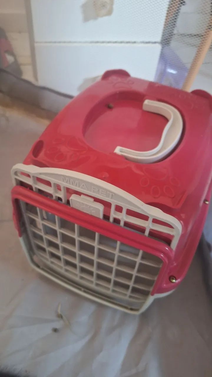 Coelha fofinha - Foto 2