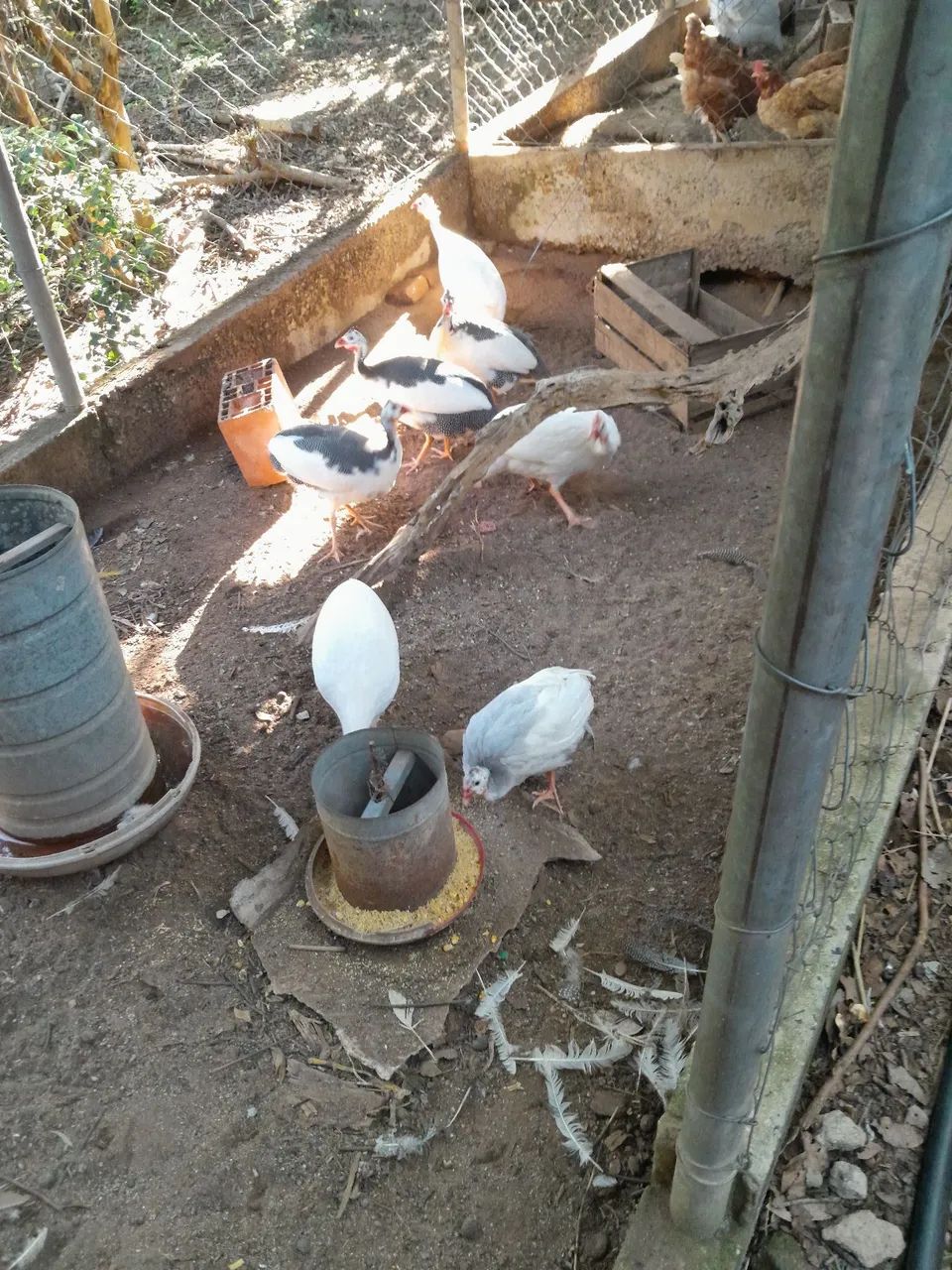Angola - Foto 2
