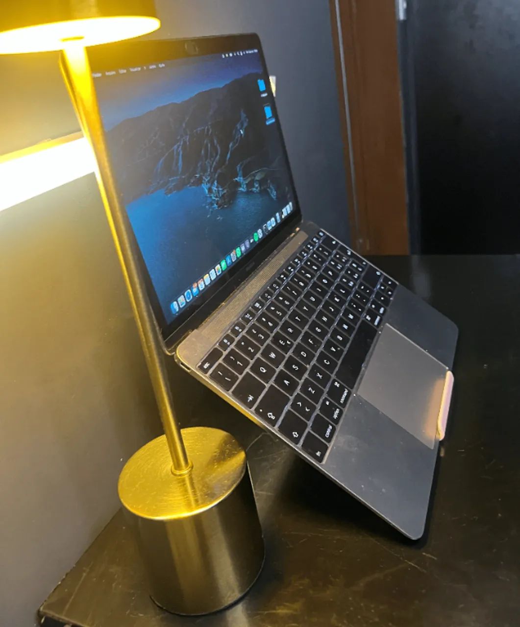 MacBook Retina 12? (Early 2015) | 8GB RAM | 500GB | Ultra fino e