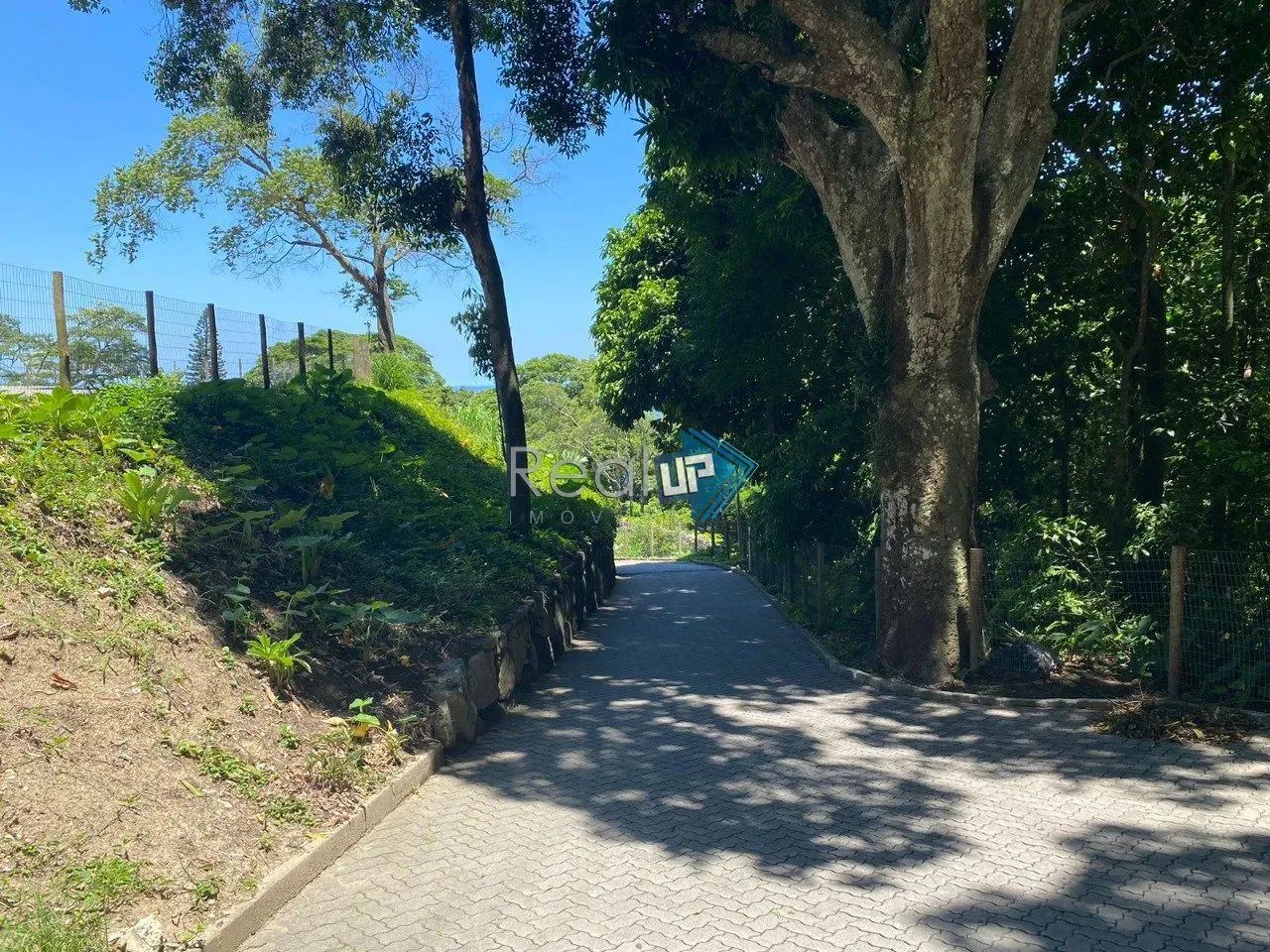 TERRENO EM SÃO CONRADO. - Foto 5