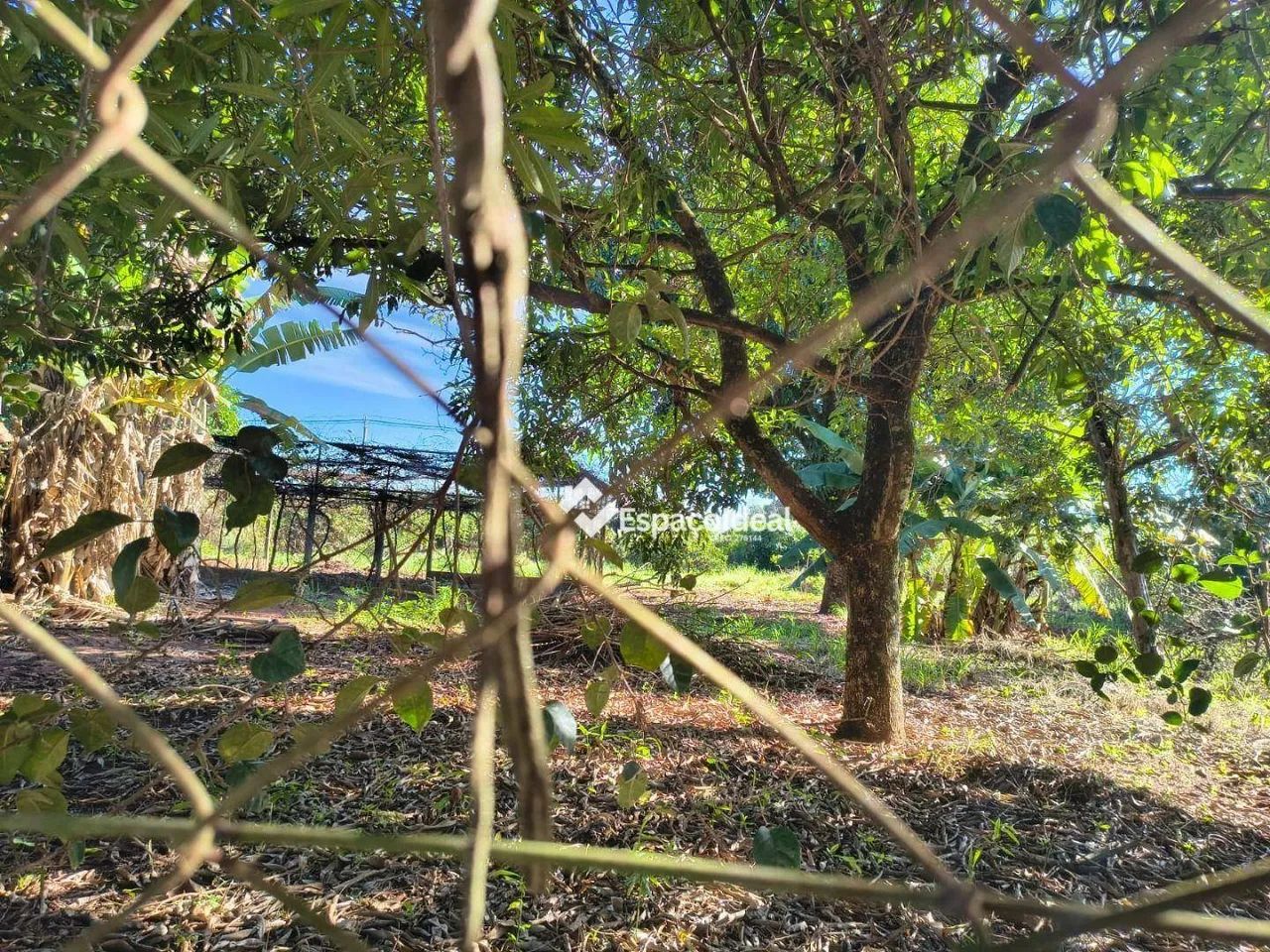 Chácara no Corvo Branco: Tranquilidade e Valorização - Foto 2