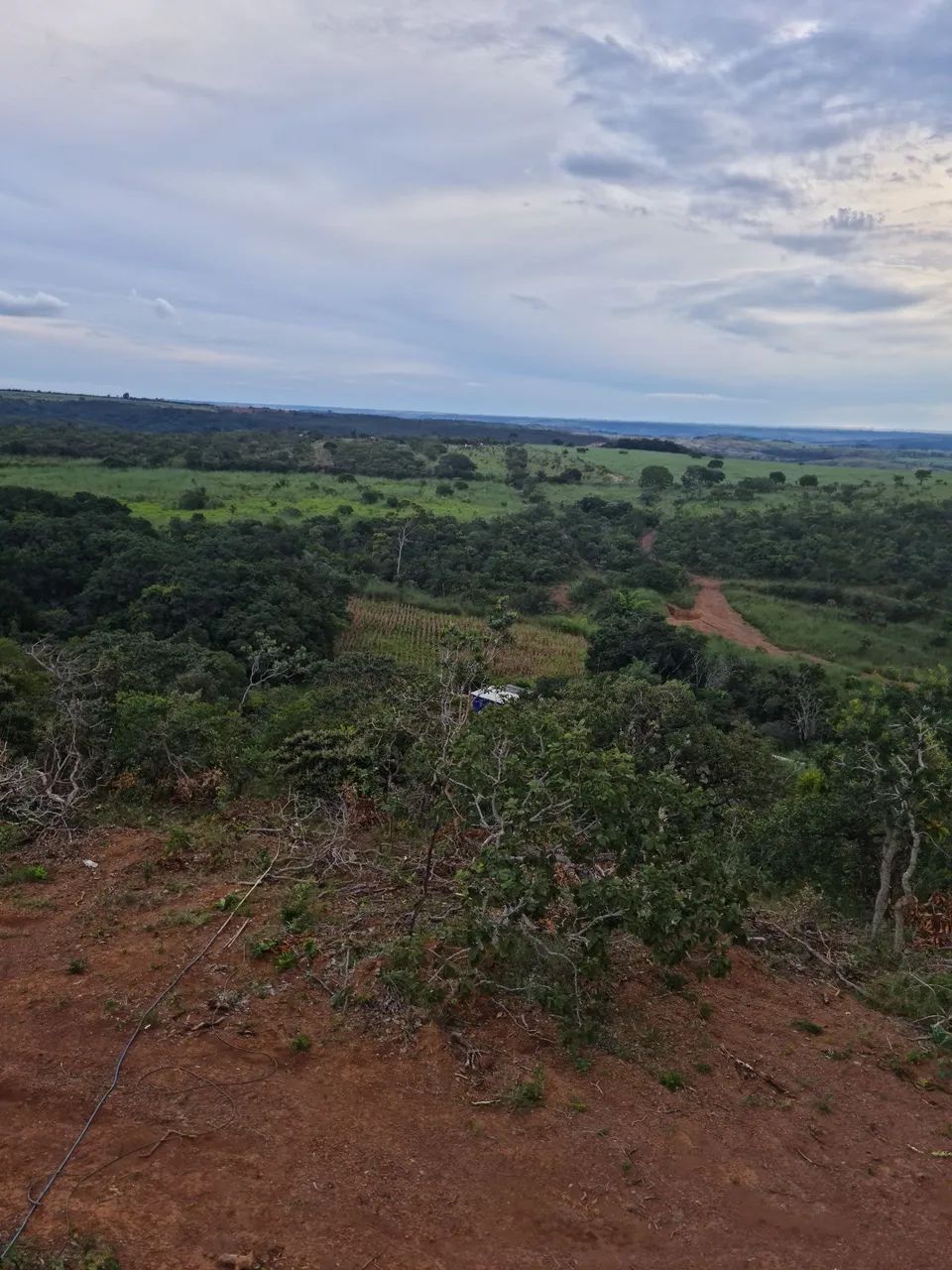 Chácara  - Foto 4