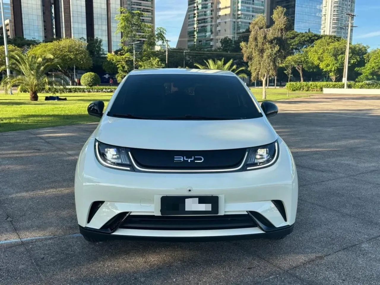 BYD Dolphin GS (Elétrico) 2026 - Foto 3