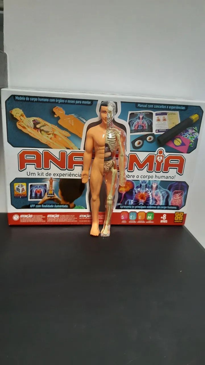Jogo Brinquedo Educativo Anatomia