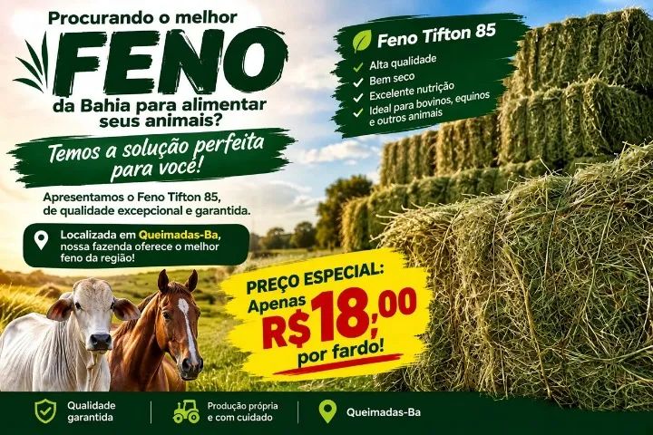 Fardos de tifton 85