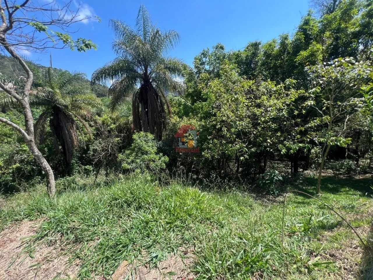 LOTE À VENDA CONDOMÍNIO VEREDAS - Foto 5