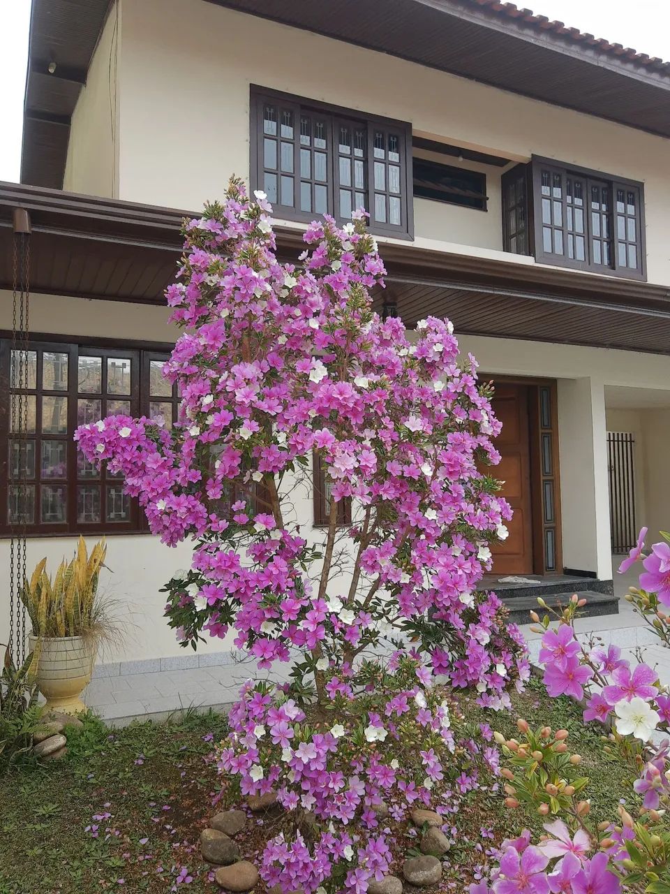 Casa Locaçao Direta.