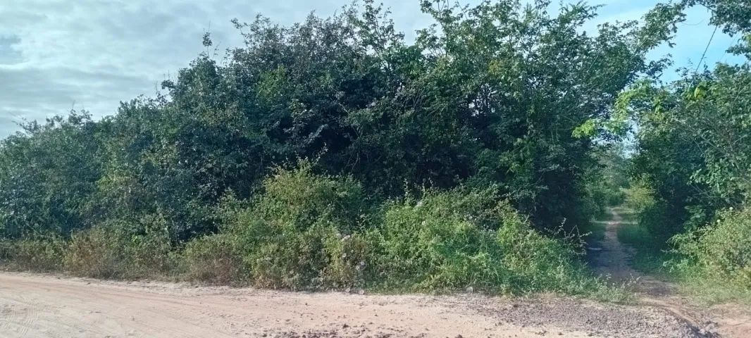 Terreno Povoado Bonito 450m² - Foto 3