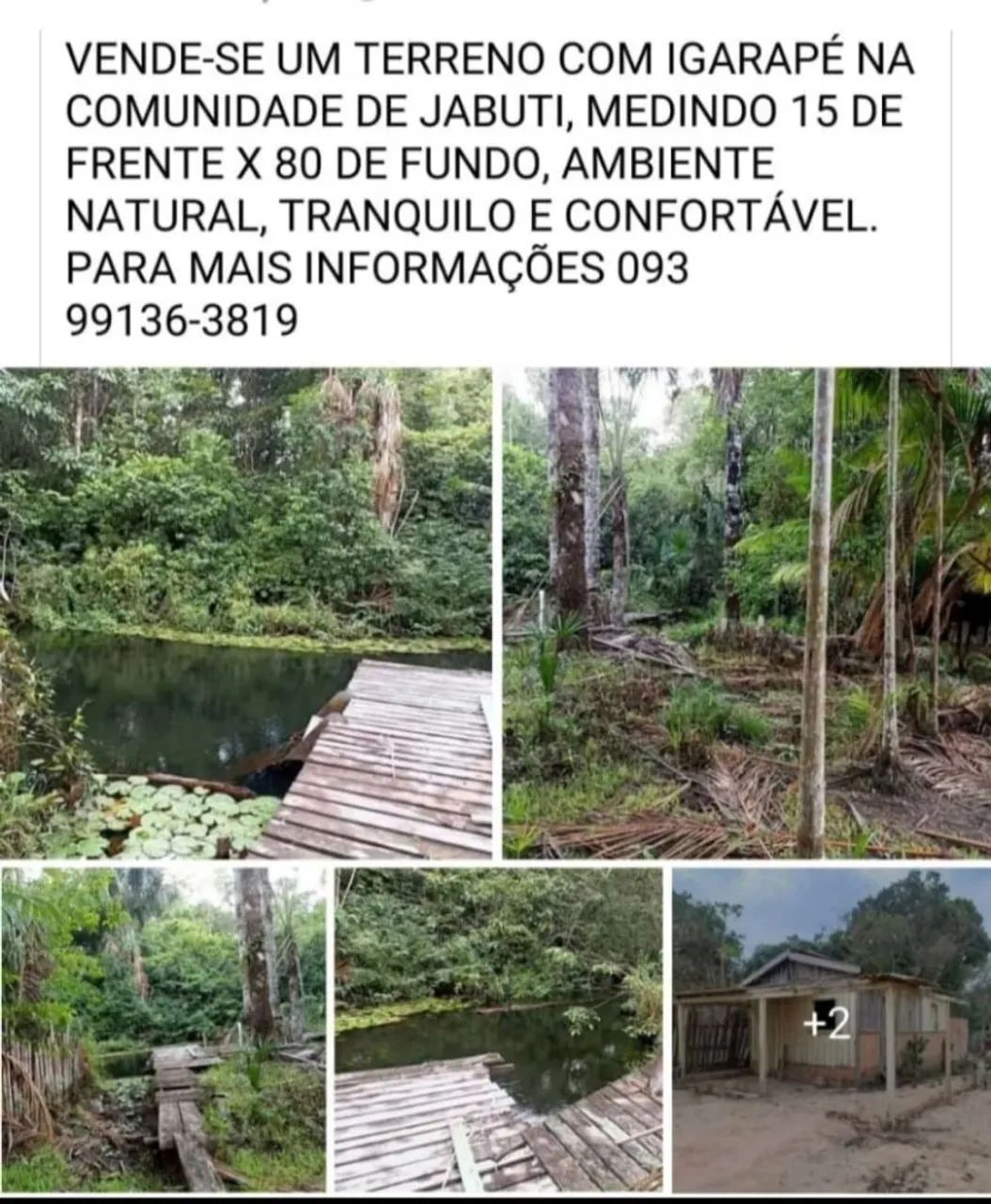 Chácara no jabuti 