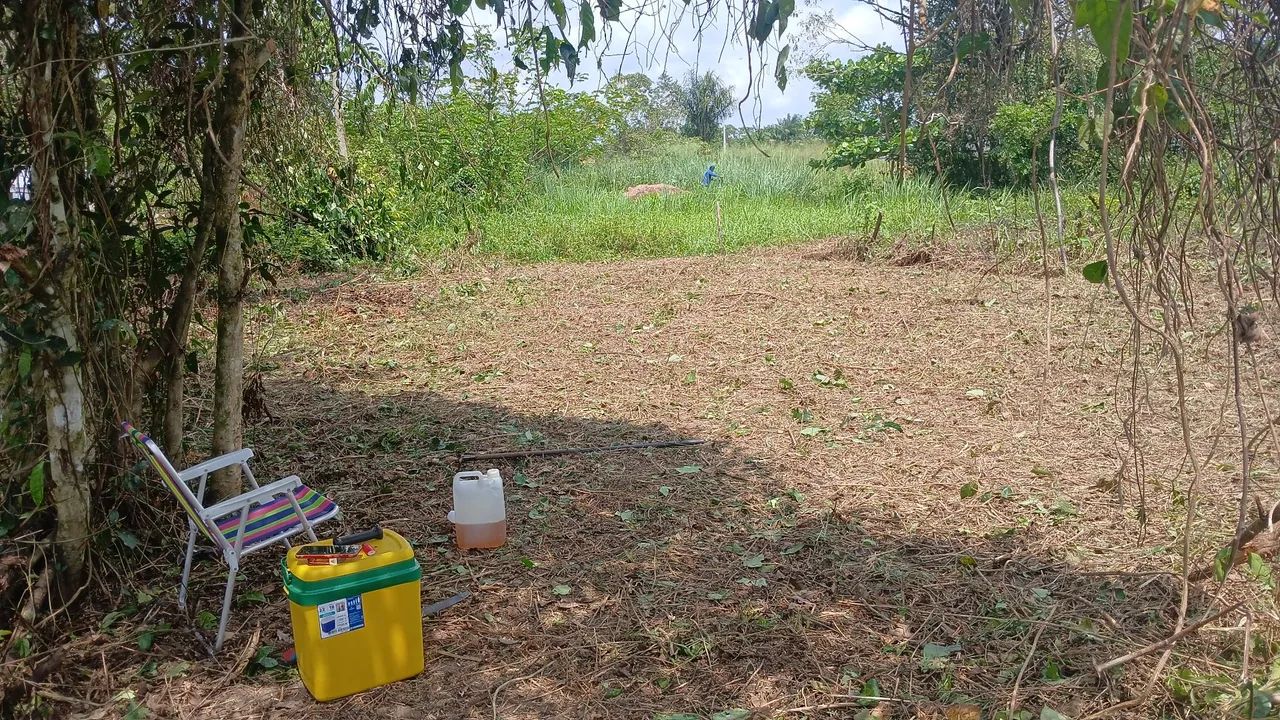 Terreno - Foto 2