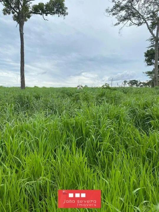 Fazenda para Venda em Palmas - Foto 3