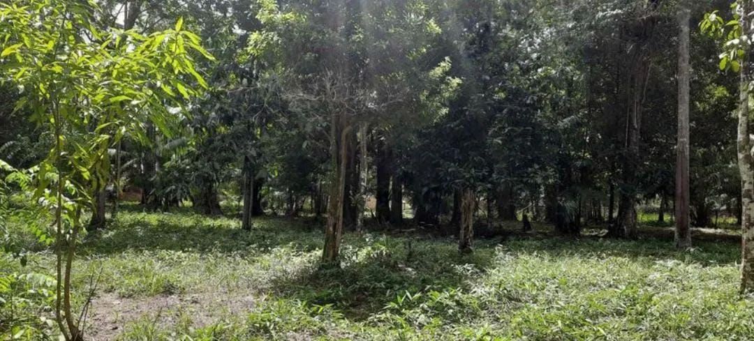 Vendo terreno em Marituba  - Foto 5