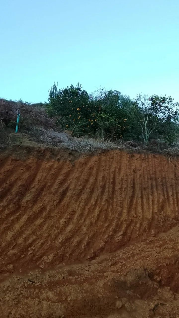 Sítio em Barracão de Rio Possmoser!  - Foto 2