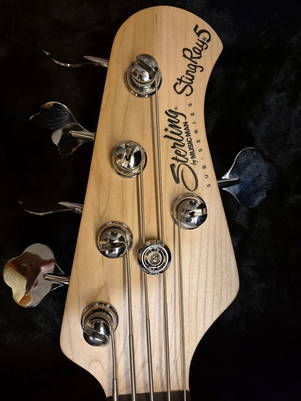 Baixo Sterling Stingray 5 by MucisMan - Foto 2