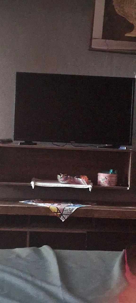 TV  só não funciona a imagem 100 reais