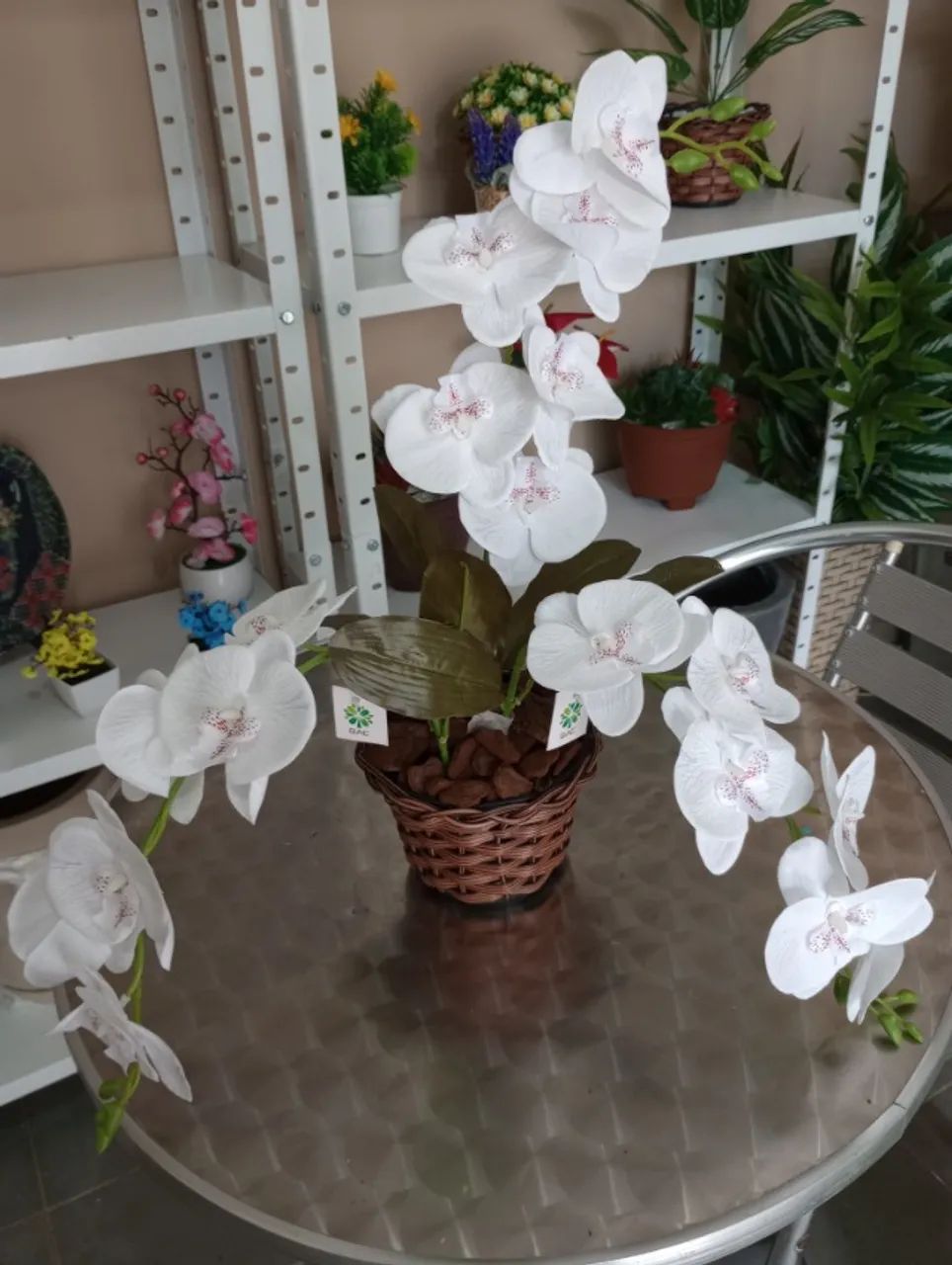 arranjos orquideas - Foto 4