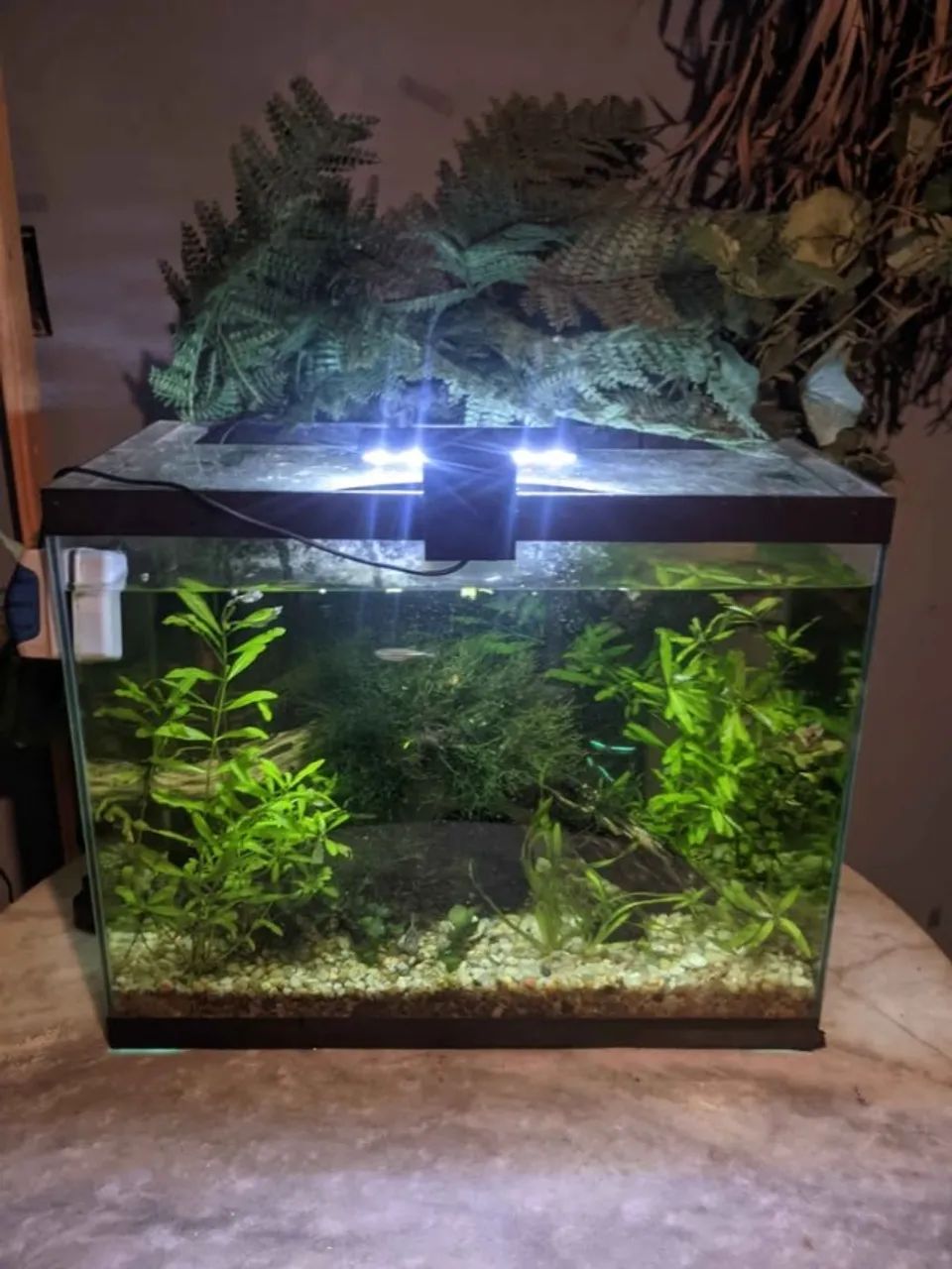 Aquario 100l a venda - Foto 4