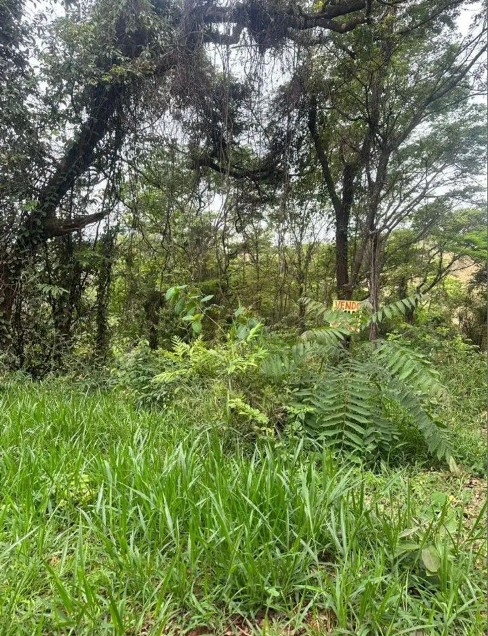 CHÁCARA 3.000 M² CONDOMÍNIO EM IGARAPÉ  - Foto 2