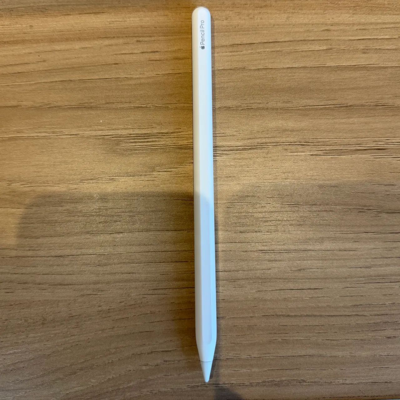【おまけ付き】Apple Pencil Pro Apple Pencil Pro | Parcelamento sem juros