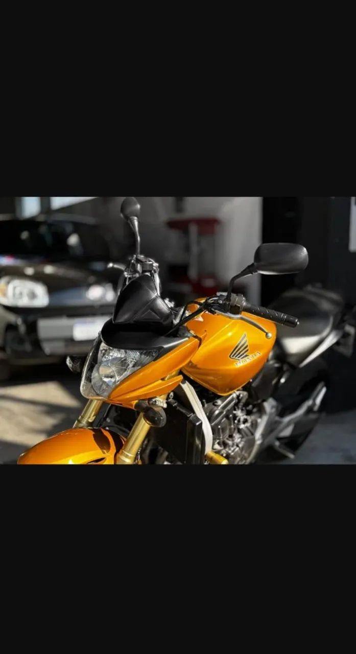 Hornet 