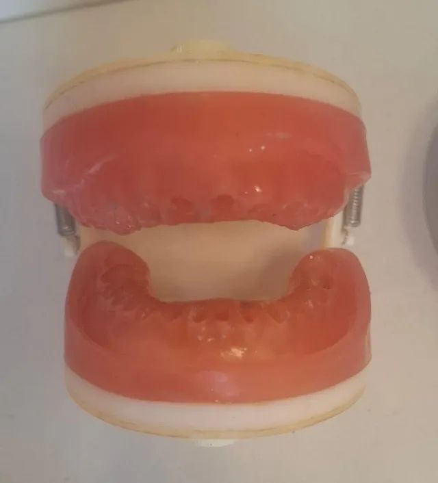 Manequim dentística PRODENS - Foto 3