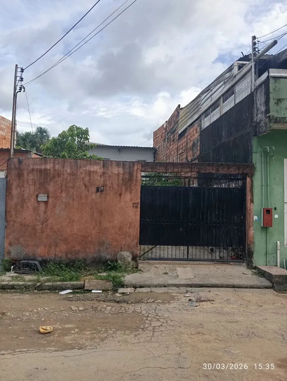 Foto - Manaus - Flores