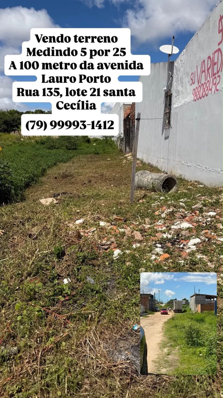 Terre 5x25 na Lauro Porto