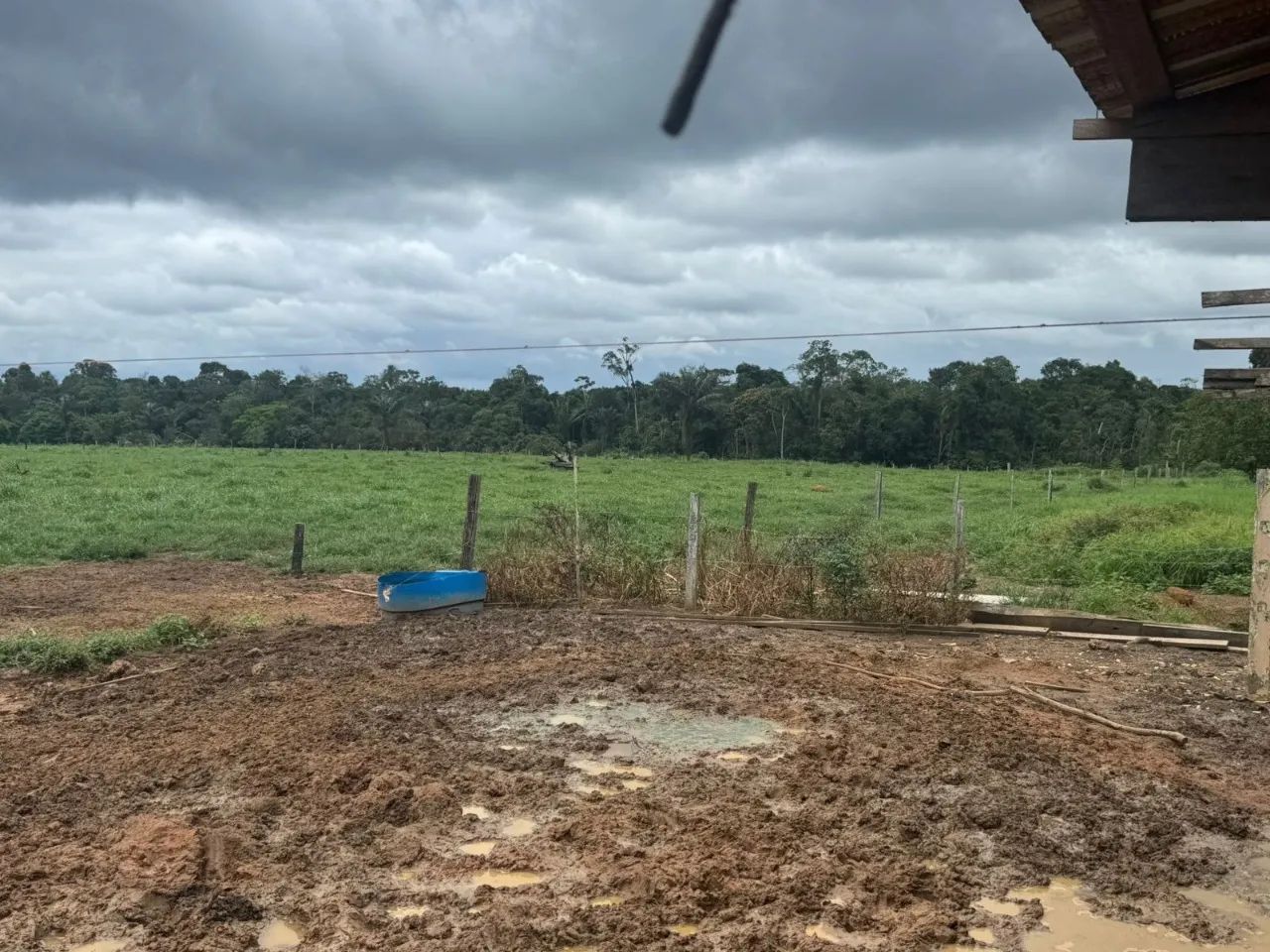 Imóvel Rural - Foto 4