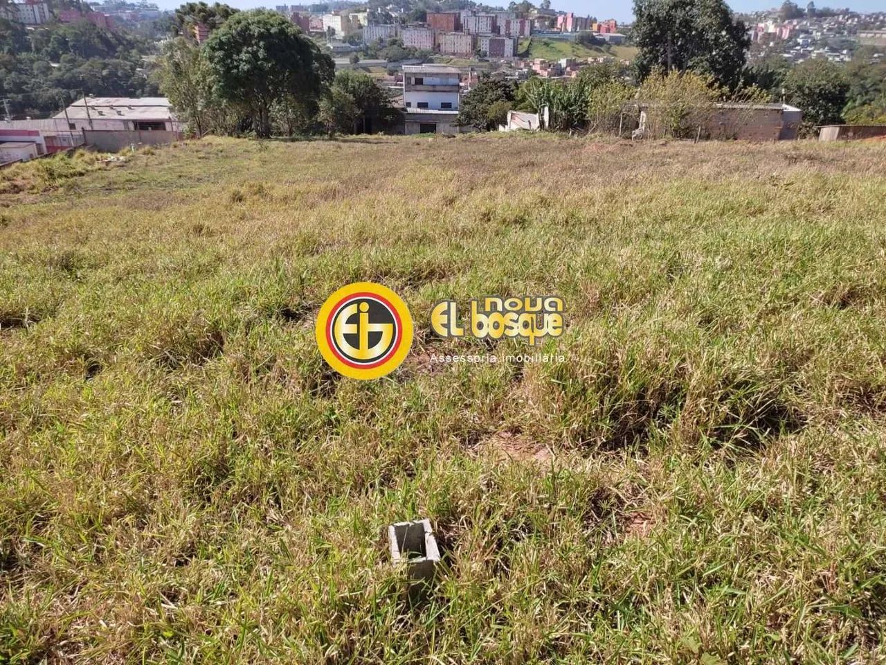 Terreno, Palanque, São Paulo - R$ 1.5 mi, Cod: - Foto 5
