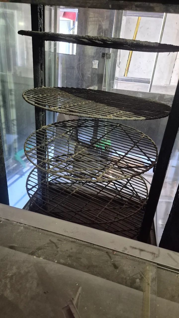 Máquina De Assar Frango - 60 und a Gás (Giratório) - Foto 2