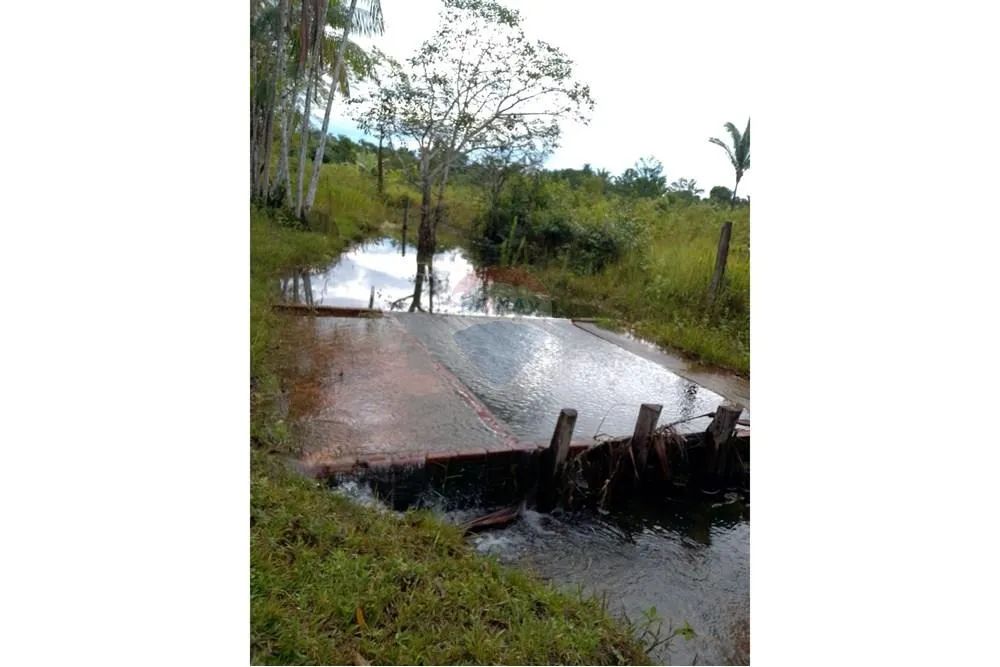 Sítio de 98 Hectares com 500 Metros de Frente para a BR-319 - Foto 4
