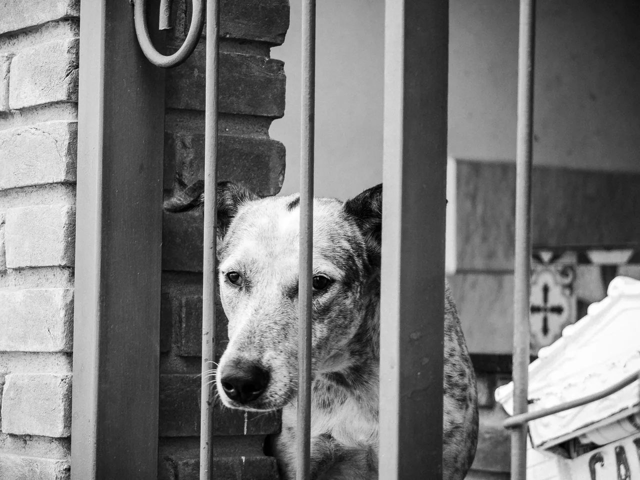 Fujifilm x10  - Foto 5