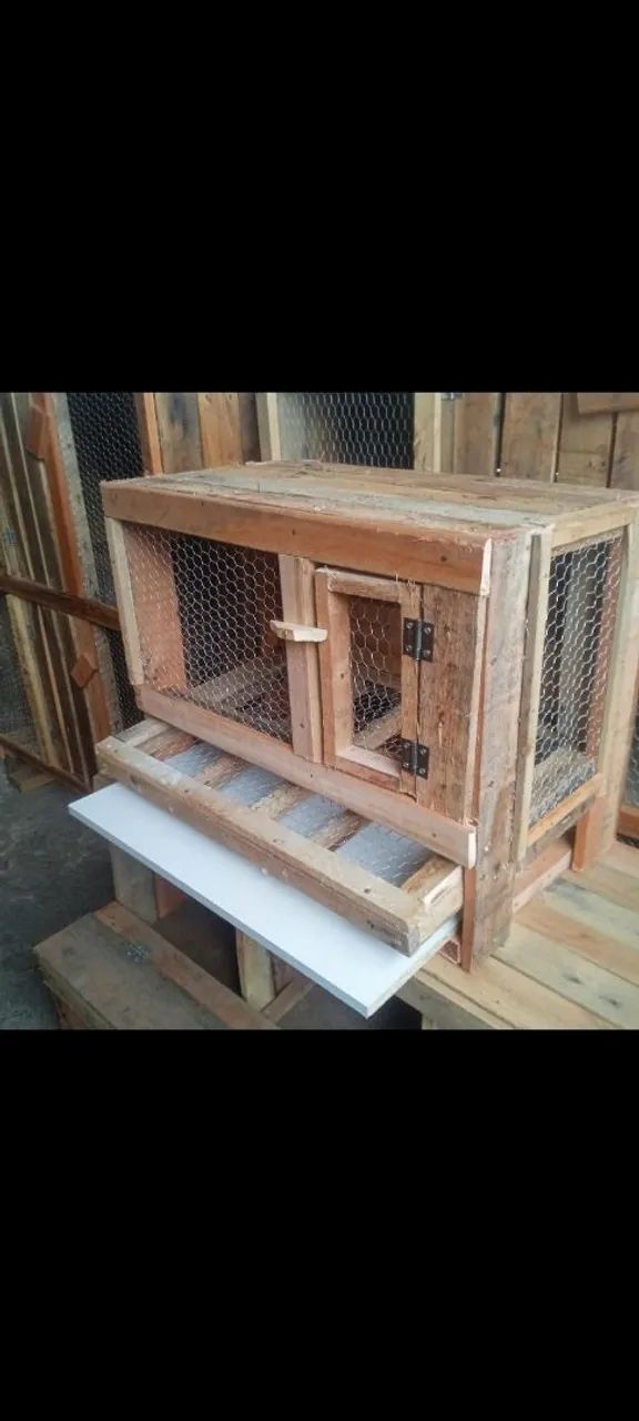 Gaiola para codornas com rolagem de ovos  - Foto 2