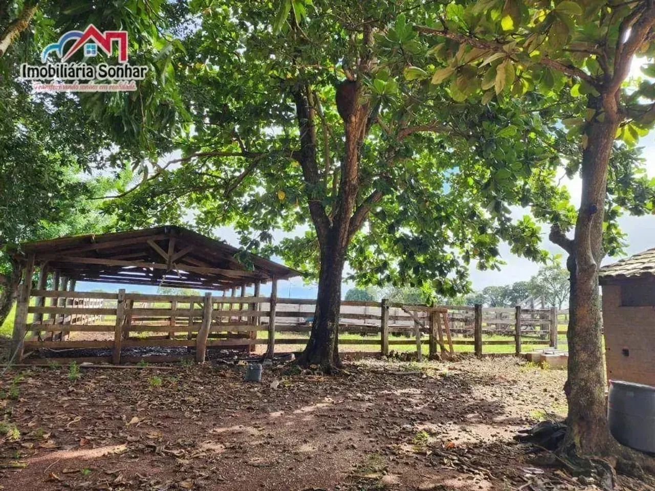 Fazenda no município de Aliança do Tocantins/TO - Foto 4