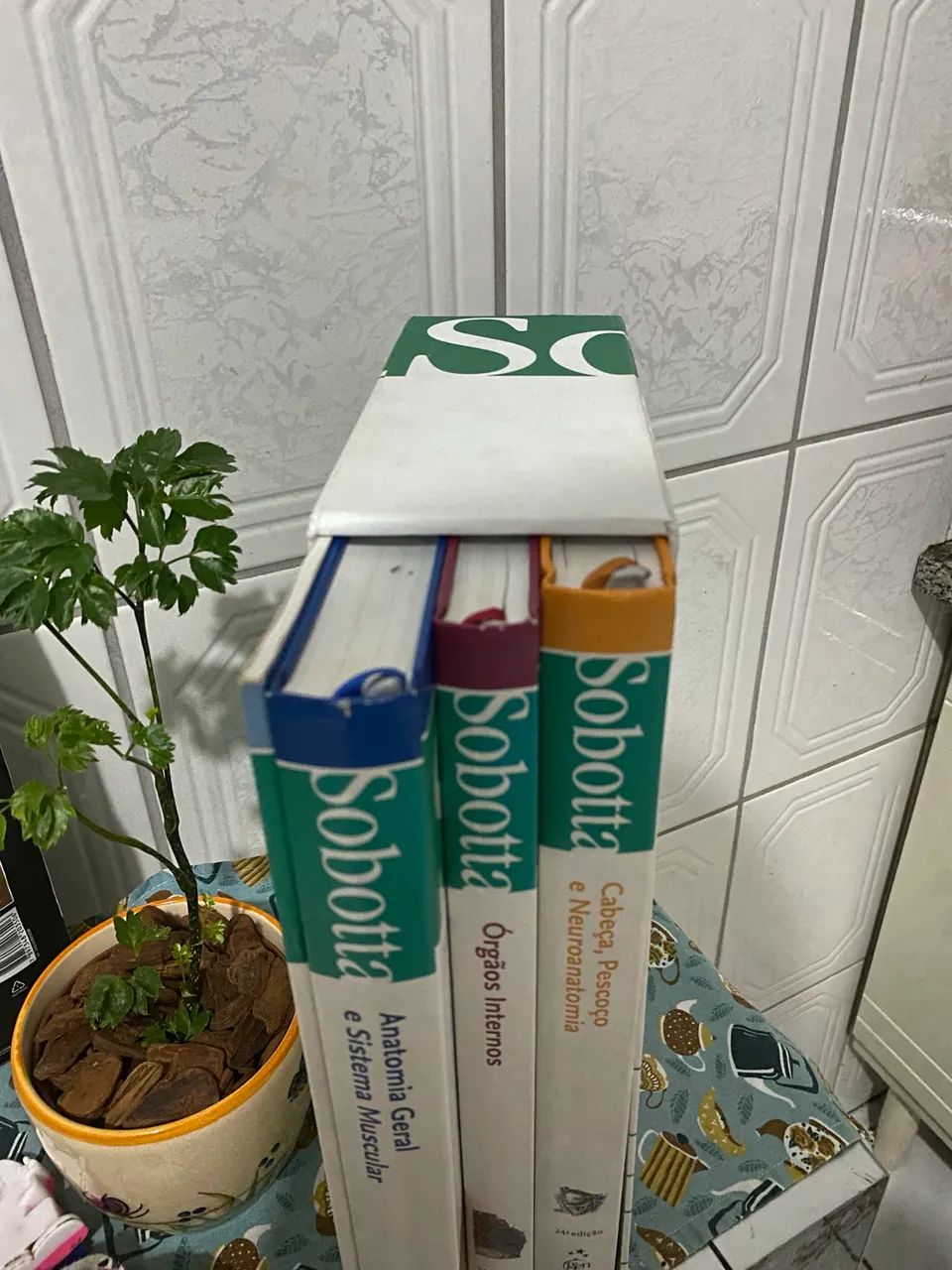 Livros de anatomia Sobotta - Foto 2