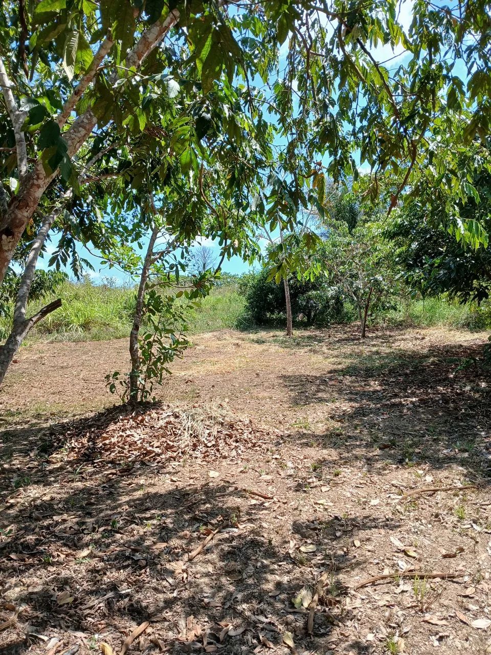 VENDO OU TROCO  - Foto 2