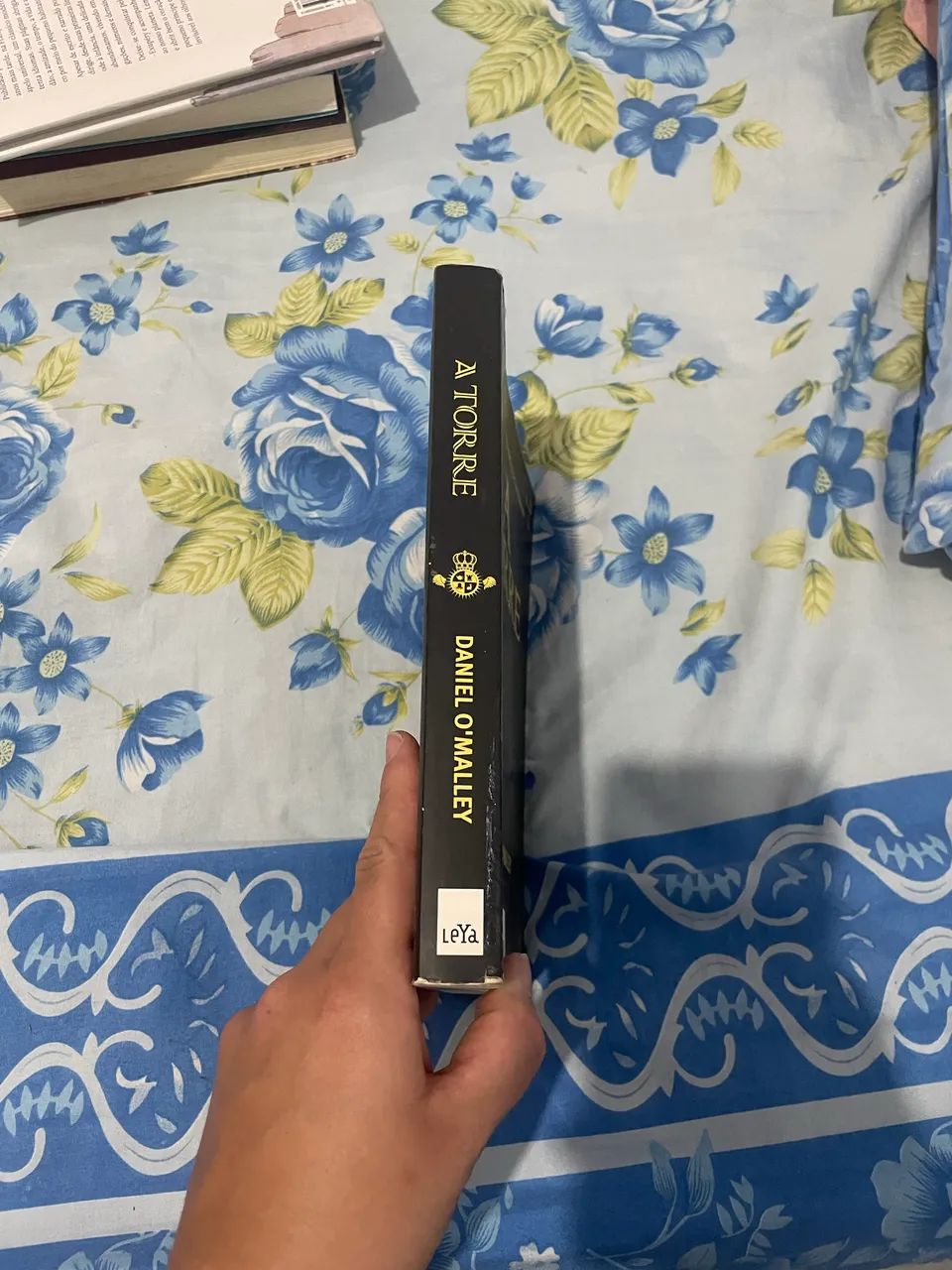 Livro A Torre  - Foto 2