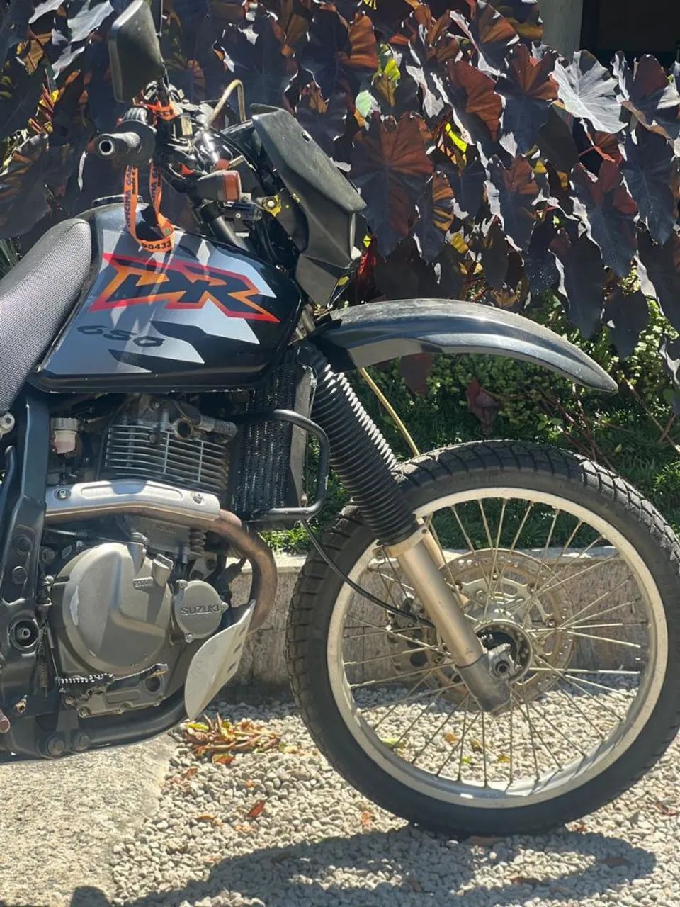 Dr 650 - Foto 2