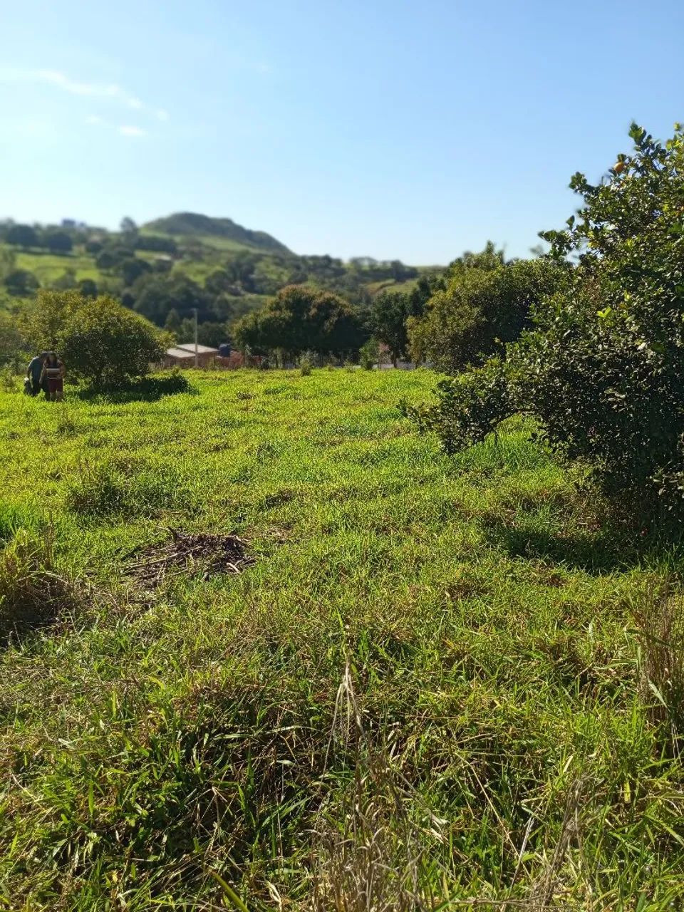 Chácara lugar lindo  - Foto 5
