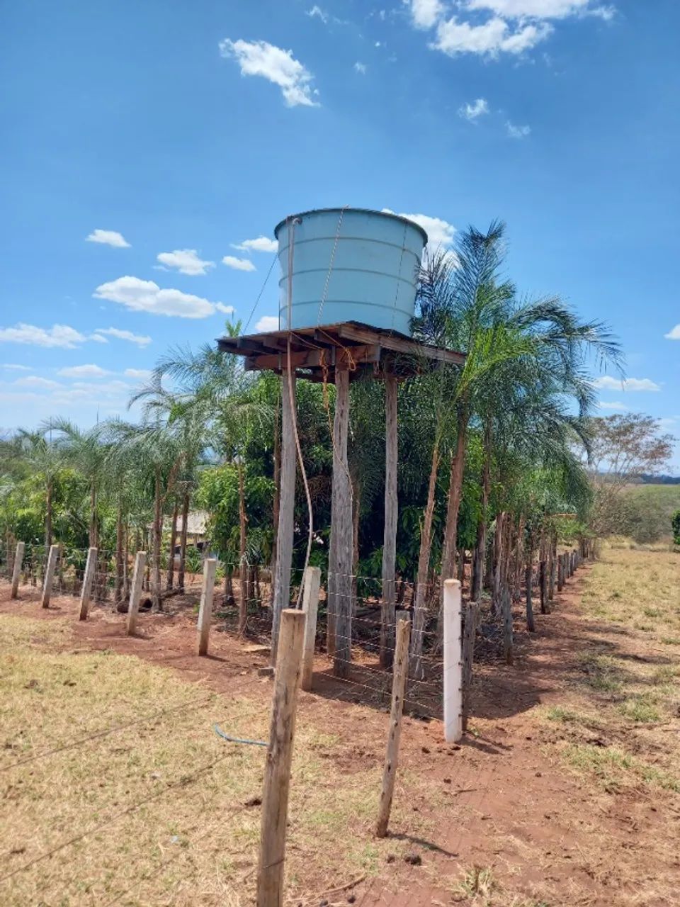 Chácara 2 hectares em Inhumas. - Foto 5