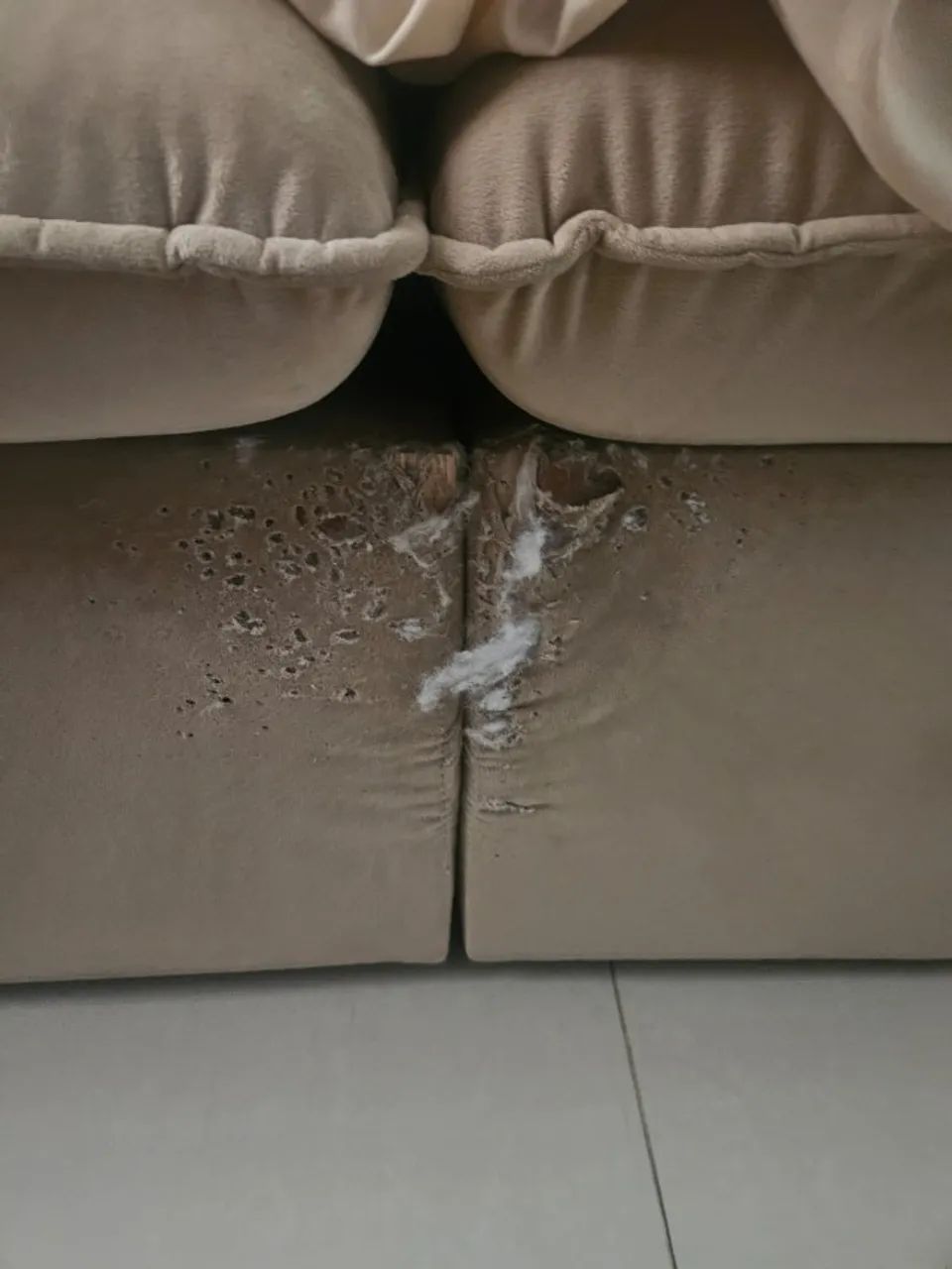 Sofá mola ensacada retrátil - Foto 5