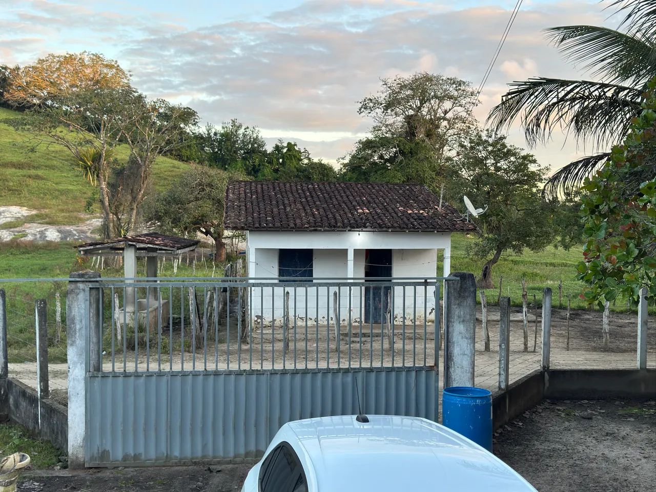 Sitio em São José da Laje - Foto 5