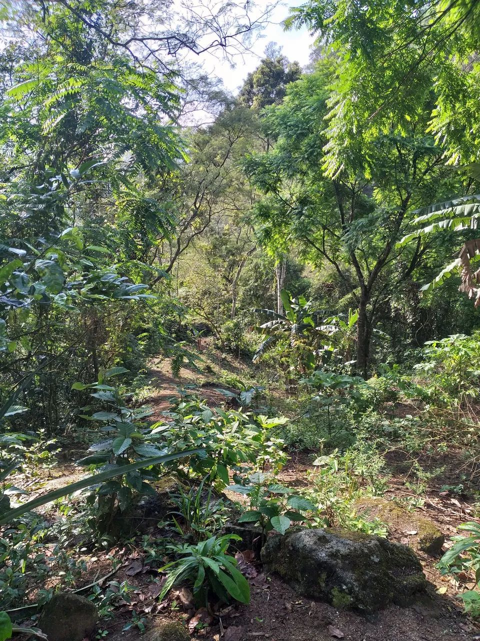 Oportunidade em Conceição de Macabu RJ - Foto 3