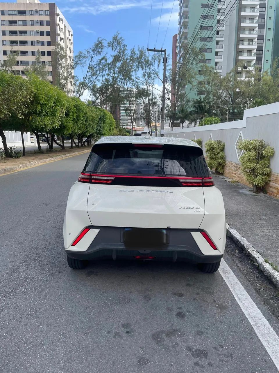 BYD Dolphin Mini (Elétrico) 2025 - Foto 2