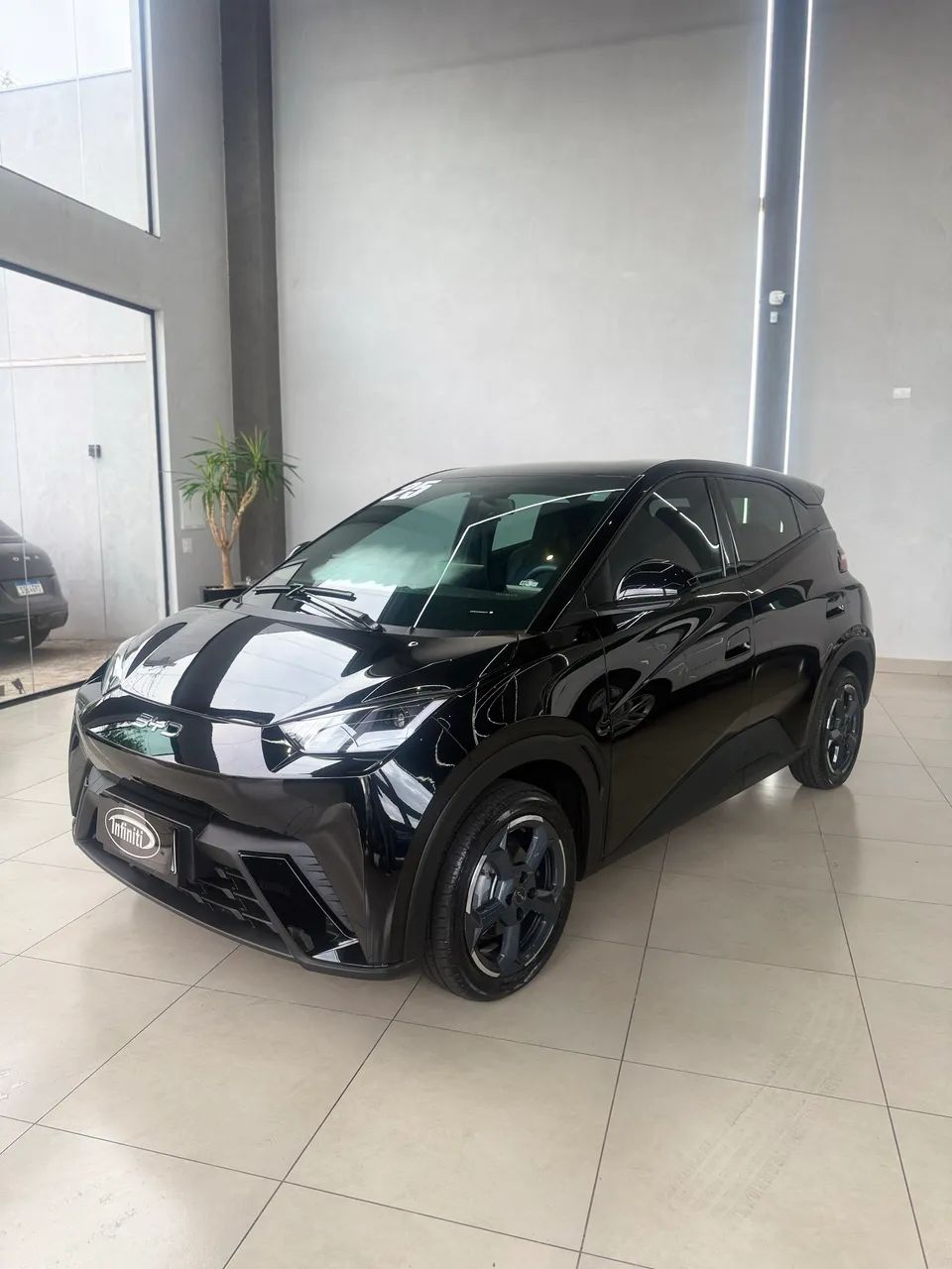 BYD Dolphin Mini (Elétrico) 2025 - Foto 3