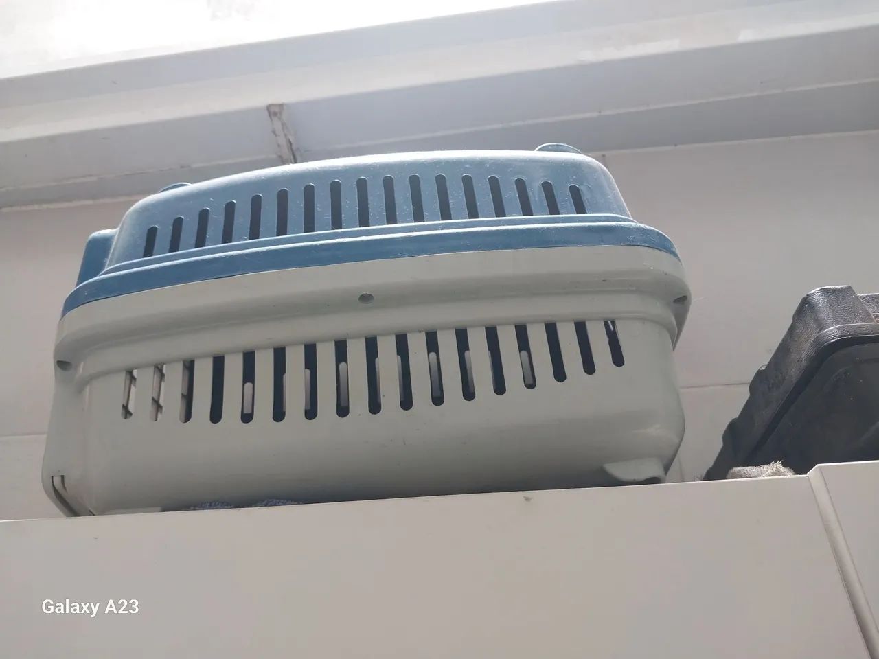 Caixa de pet pequeno 