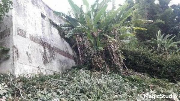 Terreno em Vila Morumbi - São Paulo - Foto 3