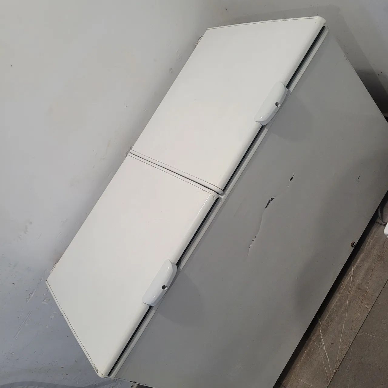 Freezer horizontal